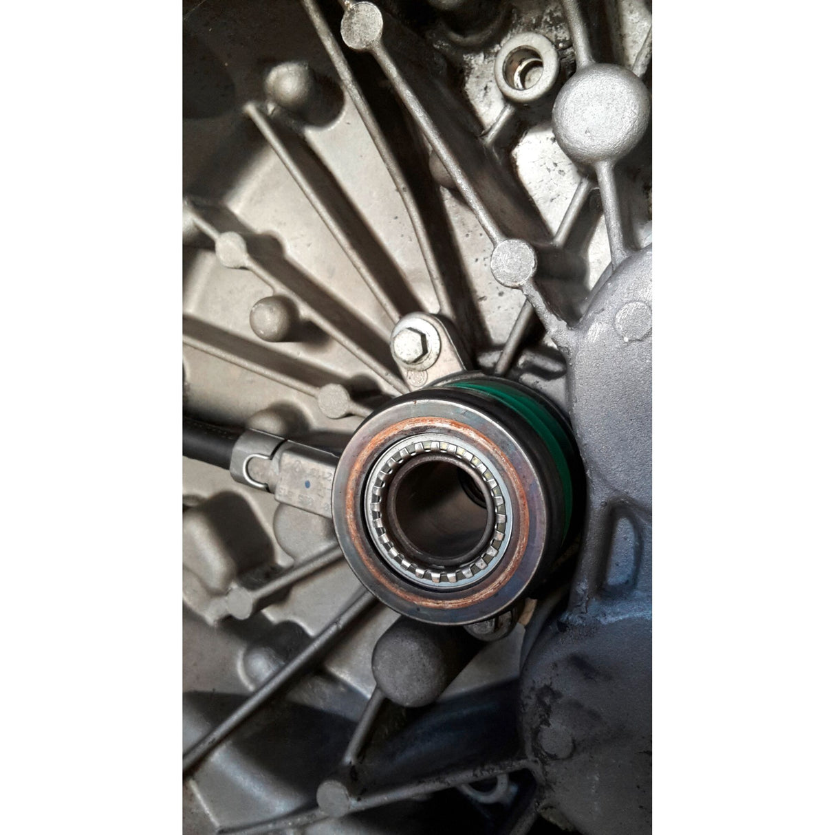 Master Bearing Race And Seal Driver