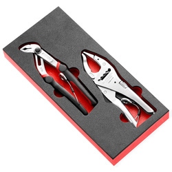 Foam module for 2 pliers - SLS