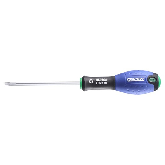 EXPERT by FACOM® T25x100mm Torx® Screwdriver