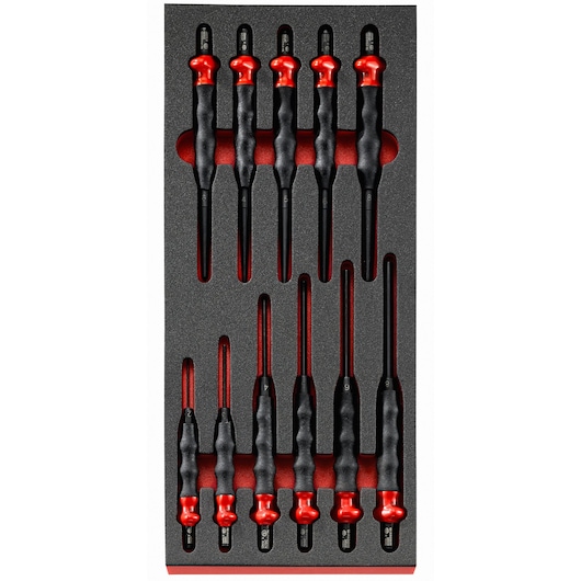 Sheath Drift Punch Set in Foam Module (11 pc.)