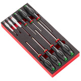  Module van foam met 10 Protwist® schroevendraaiers