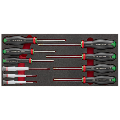  Module van foam met 10 Protwist® schroevendraaiers